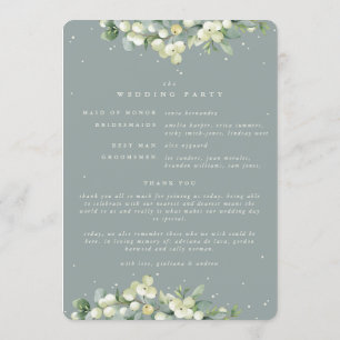 Programme Mariage d'hiver Seafoam Green Snowberry+Eucalyptus