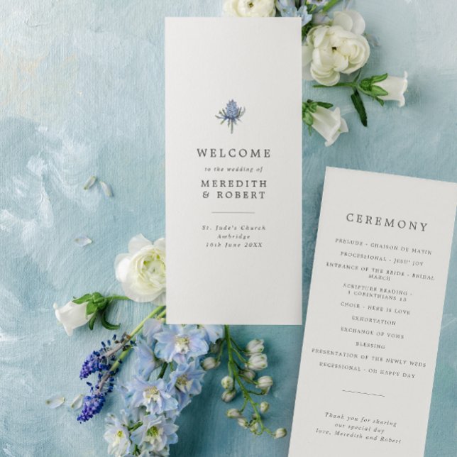 Programme Mariage minimaliste de chardon bleu (Créateur téléchargé)