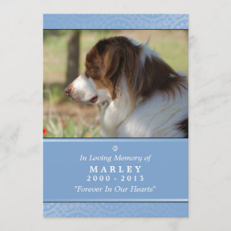 Programme Monument aux chiens 5x7 bleu clair Ne pleure pas p