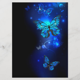 Programme Morpho Butterfly in the Dark Background