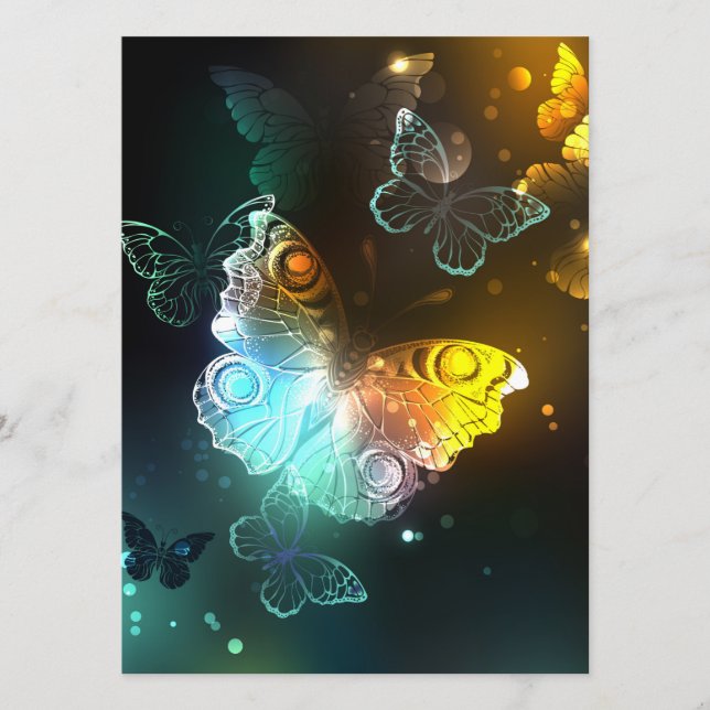 Programme Papillon lumineux et papillons de nuit (Devant)
