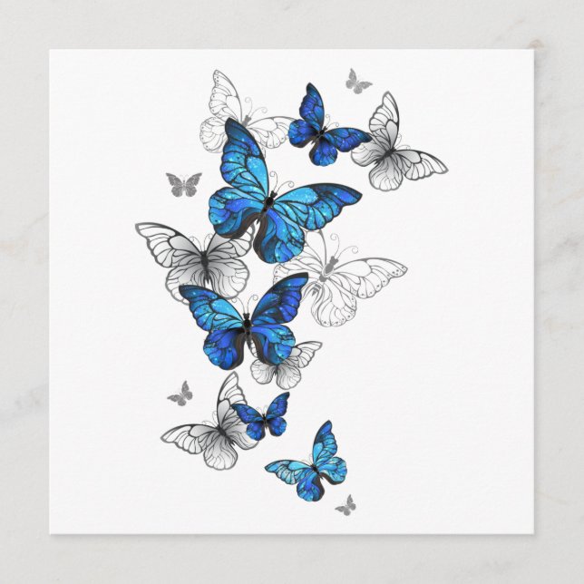 Programme Papillons volants bleus Morpho (Devant)