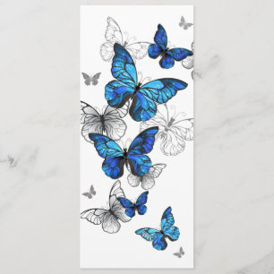 Programme Papillons volants bleus Morpho