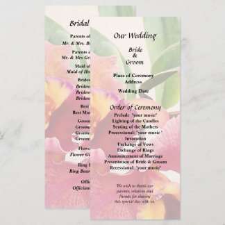 Programme Peach and Crimson Cattleya Orchids