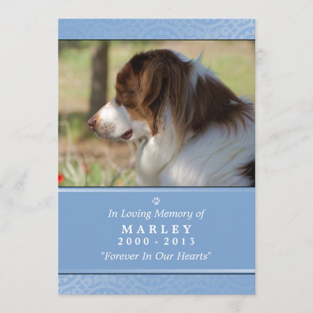 Programme Pet Memorial 5x7 Bleu clair Poème de jardin de Die (Devant)