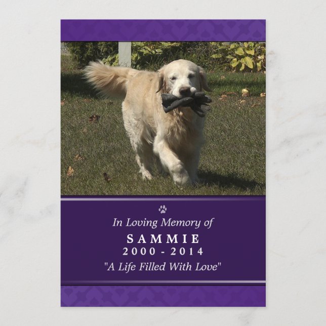 Programme Photo violette 5"x7" pour animaux de compagnie - H (Devant)