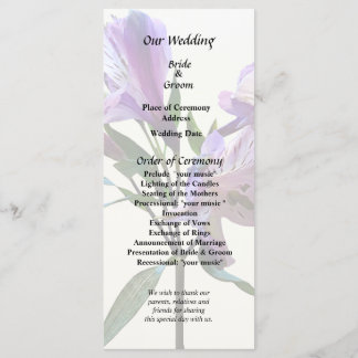 Programme Purple Peruvian Lily