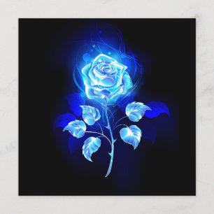 Programme Rose bleu brûlant