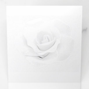 PROGRAMME TROIS VOLETS CREEZ VOS PROPRES CARTES-