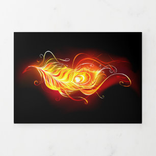 Programme Trois Volets Plumes de paquetage de feu