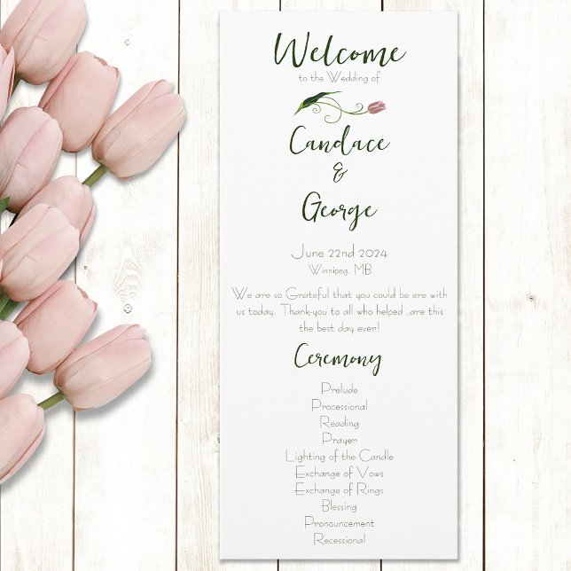 Programme Tulipes roses florales (Créateur téléchargé)