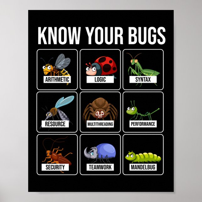 Programmer Coding Know Your Bugs Poster (Front)