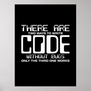 Programmer Write Code Without Bugs Poster
