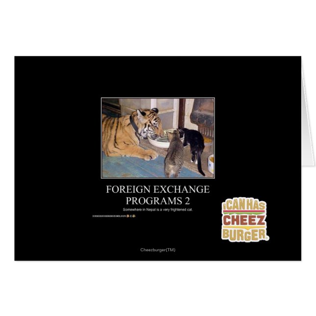 Programmes de devises étrangères 2 (Devant horizontal)