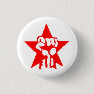 Progressive Labour Party button