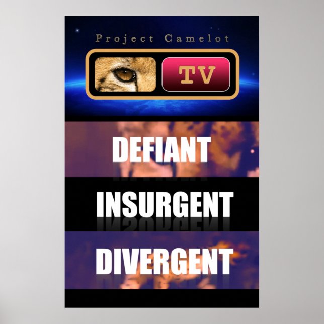 PROJECT CAMELOT POSTER (Front)