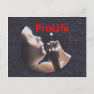 ProLife Postcard