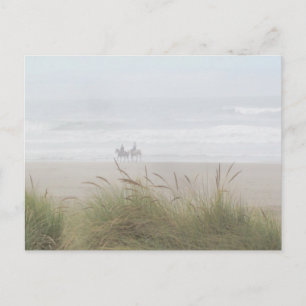 Promenade à cheval sur la plage Carte postale