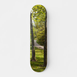 Promenade dans le skateBoard du parc