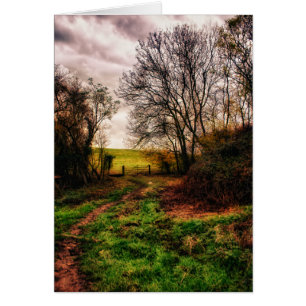 Promenade de campagne