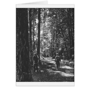 Promenade de matin à l'aube