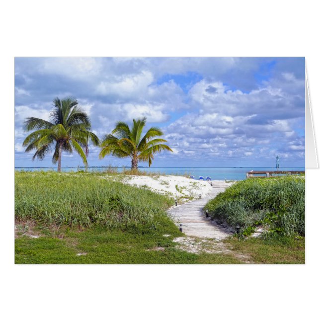Promenade de plage de banc de sable de trésor, (Devant horizontal)