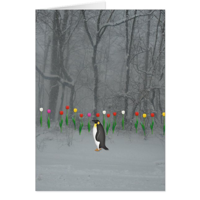 Promenade de ressort de pingouin (Devant)