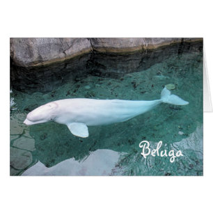 Promenade du côté sauvage