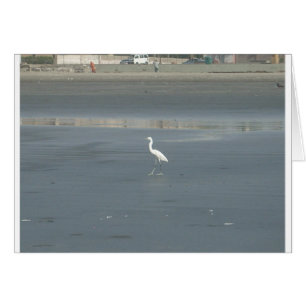 Promenade en solo.JPG