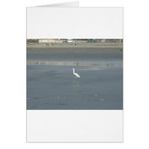 Promenade en solo.JPG