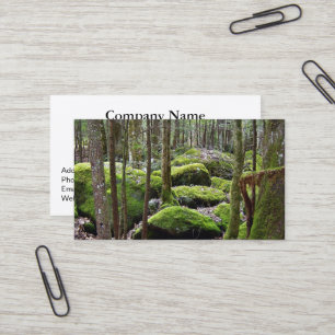 Promenez-vous dans les Cartes de visite des bois