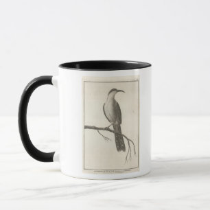 Promerops or Bee Eater of California Mug