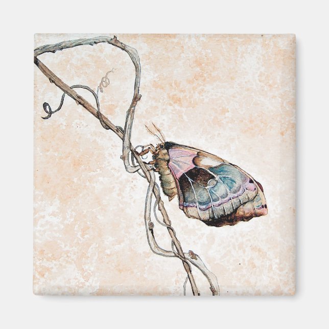Promethea Moth Magnet (Front)