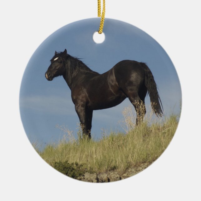 Promise Ceramic Ornament (Front)