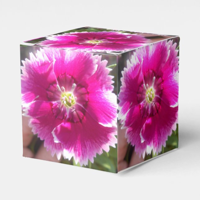 Promise Favor Box (Front Side)