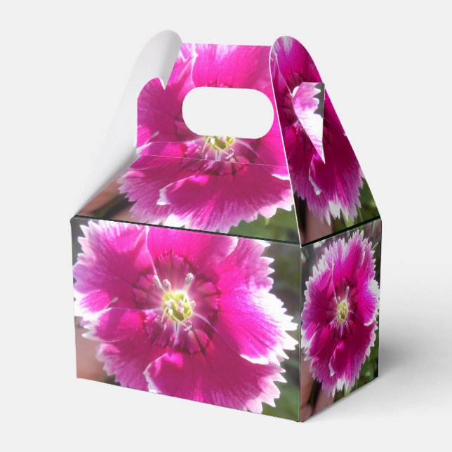 Promise Favor Box (Back Side)