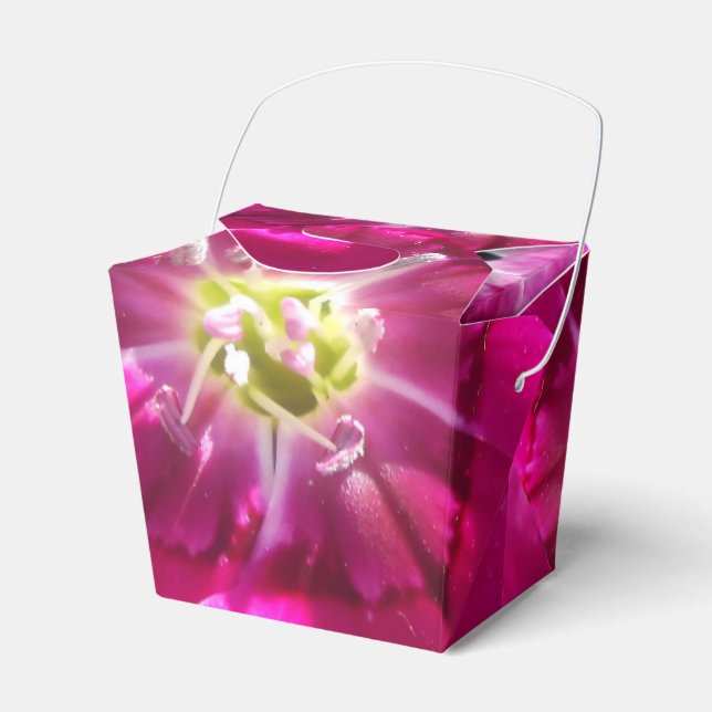 Promise Favor Box (Front Side)
