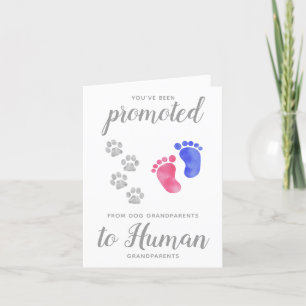 Promoted From Dog Grandparents Pregnancy  Announcement