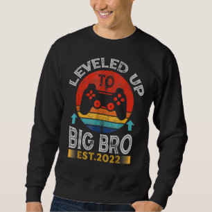 Promoted To Big Bro 2022 Vintage Levelled Up To Bi Sweatshirt