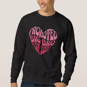 Promoted To Big Bro Est.2025 First Time New Big Br Sweatshirt