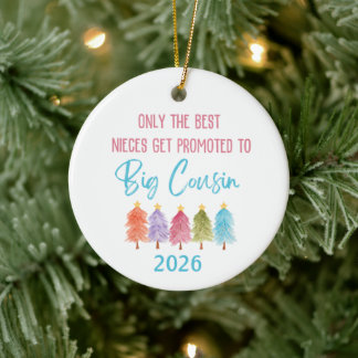 Promoted to Big Cousin Niece Ornament