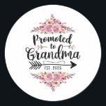 Promoted To Grandma 2025 Pregnancy Announcement Classic Round Sticker<br><div class="desc">Promoted To Grandma 2025 Pregnancy Announcement</div>