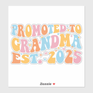 Promoted To Grandma Est. 2025 III