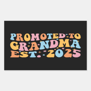 Promoted To Grandma Est. 2025 III Sticker