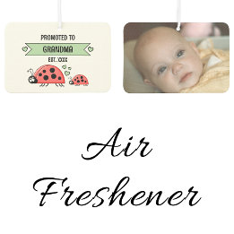 Promoted to grandma ladybugs photo green air freshener