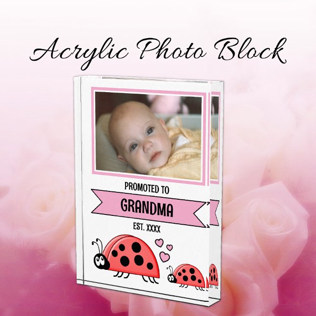 Promoted to grandma ladybugs pink photo block (Creator Uploaded)