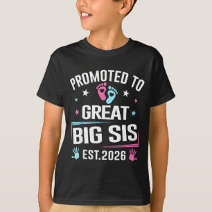 Promoted To Great Big Sis Est 2026 Pregnancy Annou T-Shirt