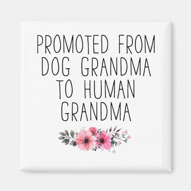Promoted To Human Grandma From Dog Grandma Funny Magnet (Front)