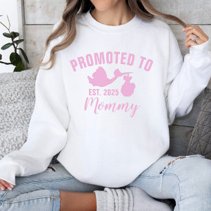 Promoted To Mommy 2025 Stork Girl Gender Reveal Sweatshirt