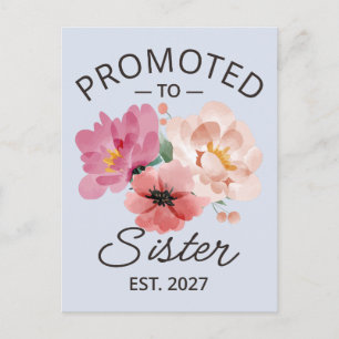 Promoted To Sister Est 2027 Big Sister VI Postcard